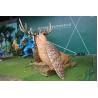 Buy cheap Outdoor Realistic Animatronic Dinosaur Interesting Brown Color Monster from wholesalers