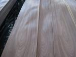 American Walnut Veneer