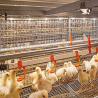 Buy cheap Q235B Galvanized Steel Structure Poultry House Bolts Connection Steel Chicken Houses from wholesalers