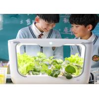 Buy cheap Indoor Plants Vertical Hydroponic Sprout Growing Systems product