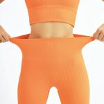 Oem Factory Manufacturer Custom Logo Adults High Waist GYM Fitness Leggings