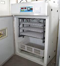 Buy cheap 200PCS Jumbo Poultry Egg Incubator Extruded Sections from wholesalers