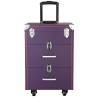 Buy cheap Professional aluminum makeup beauty case from wholesalers