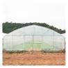 Buy cheap Stable Structure Polyethylene Film Greenhouse / Vegetable Tomato Plant Greenhouse from wholesalers