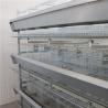 Buy cheap Automatic H Type Layer Chicken Cage Hot Galvanized Steel from wholesalers