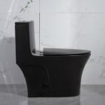 28" Dual Flush One Piece Toilet Black 12 Inch Rough In Closing Seat Soft