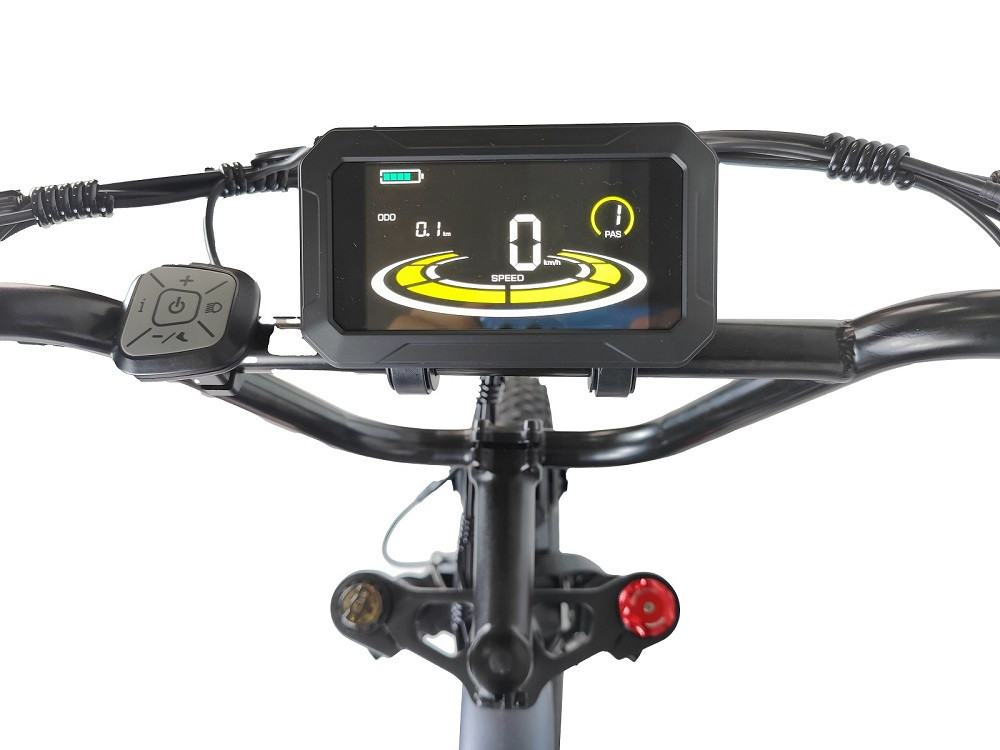 Electric Fat Bike 500W 750W Super Nice 73 Electric Bike with 48V 18AH Lithium Battery