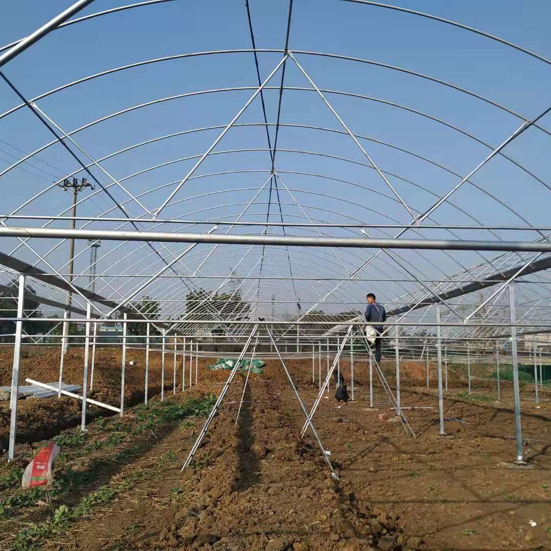 Turnkey Installed Commercial Hydroponic Plastic Film Greenhouses Multi Span