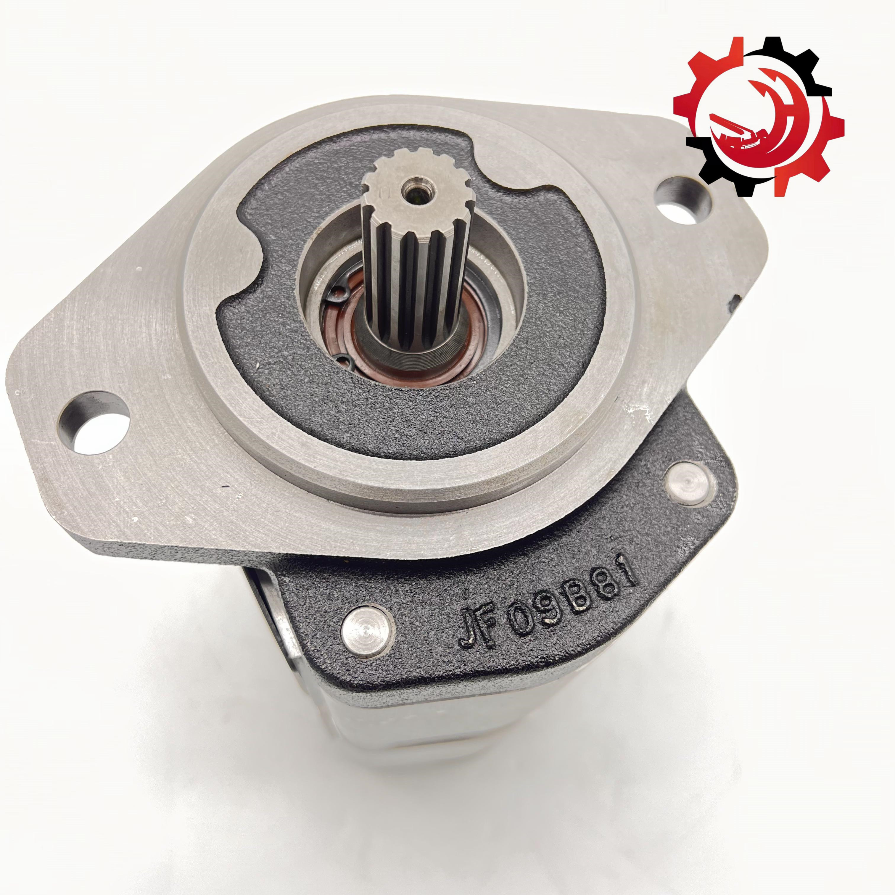 Hydraulic Gear Pump For Zoomlion Sany Concrete Pumps Customizable Models Gear Oil Pump