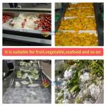 Industrial Food Vegetable Washing Machine with 600 KG Capacity and Air Bubble