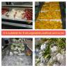 Buy cheap 3000*1160*1400mm Green Vegetable Fruit Air Bubble Washing Machine for Mango Tomato from wholesalers