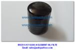 ISUZU 8-97603415-7 ISUZU 6WF1 INJECTOR 8-97603415-7 8976034157
