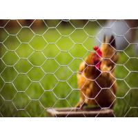 Buy cheap Easy Cutting 1/2 Inch Hexagonal Wire Netting Diameter 0.4mm-1.5mm product