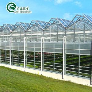 Buy cheap Vegetable Fruits Flowers Tomatoes Greenhouse with Inside and Outside Shading System from wholesalers