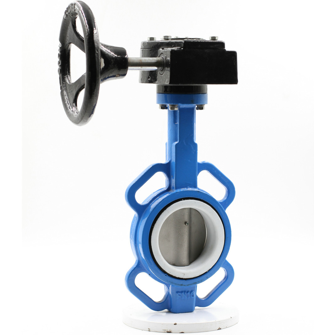 Dn200 200mm Actuated Motorized Automatic Control Cast Iron Ductile Iron Electric Lt Lug Type Wafer Butterfly Valve