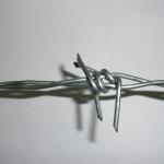 Low Carbon Steel Farm Concertina Barbed Wire Fencing High Speed PVC Coated