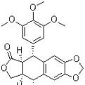 Buy cheap pure Picropodophyllotoxin 98%, CAS No.: 477-47-4, natural IGF-1R inhibitor, from wholesalers