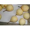 Buy cheap Farm Chinese Ya Pears from wholesalers
