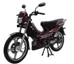 Tunisia Popular Moto Forza MaxSCI GSM MAXi i FTM110CC 110CC 50cc bikes 125cc