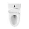 Buy cheap Elongated 1.1 Gpf One Piece Toilets Ceramic Chair Height Toilet from wholesalers