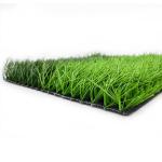 Disease Resistant Indoor Astroturf Football Pitches