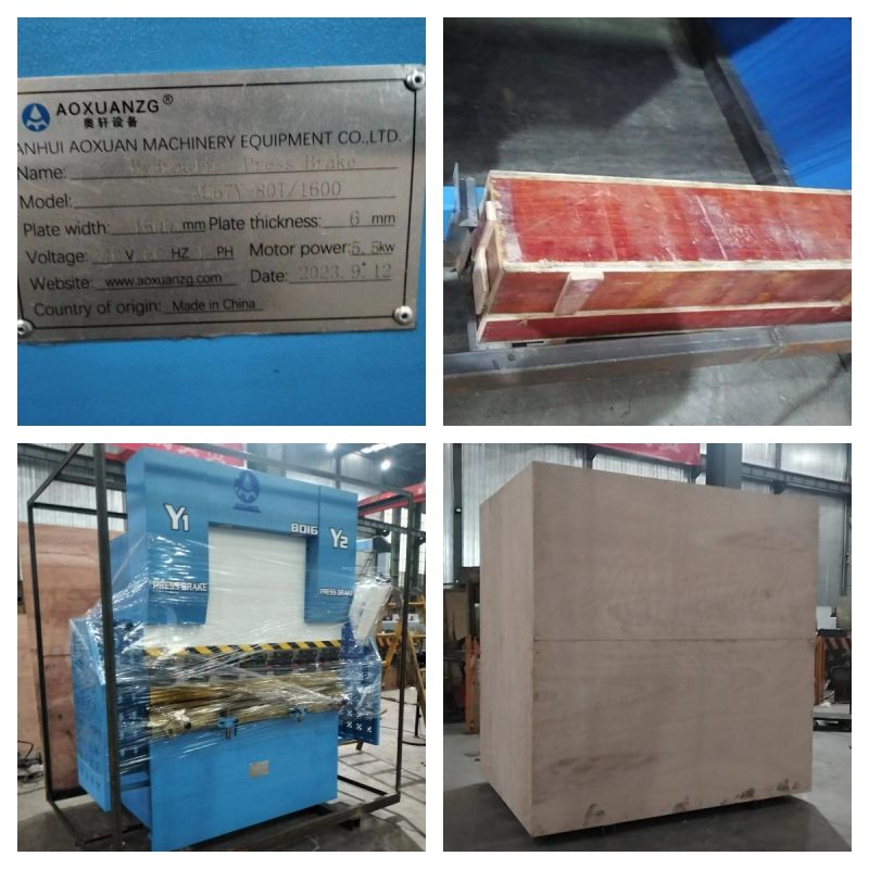 Small Press Brake 80T1600 6mm Carbon Steel 3mm Stainless Steel 5 Feet CNC Hydraulic Bending TP10S Controller 3Kw