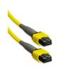 Buy cheap Optic Jumper MPO MTP Patch Cord 8 16 24 Cord LSZH / PVC from wholesalers