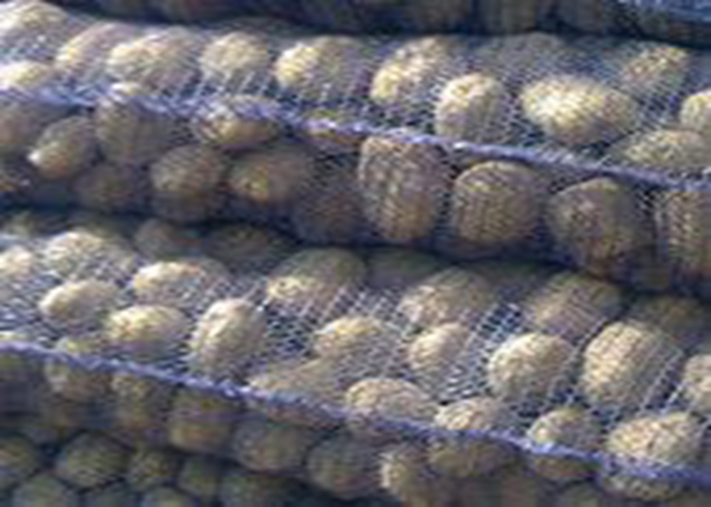 Large Yellow Or Purple Plastic Woven Reusable Bags For Fruit And Vegetables