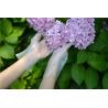 Buy cheap Antibacterial 2.0g Disposable TPE Gloves For Food Industry from wholesalers
