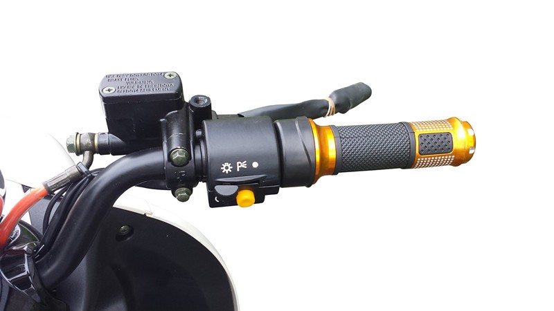 48V / 60V 20AH Eagle Adult Electric Motorcycle 1000W Loading Capacity 150kgs