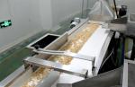 Blanched Peanut Roasted Seeds And Nuts Light Yellow Colour Dried Style