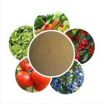 Plant Derived Compound Amino Acid Chelated Trace Elements 15% Foliar Organic