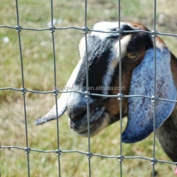 Metal Type Iron Pasture Fence 2.5mm Wire Diameter for Goat Farming 4ft-5ft-6ft