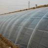 Buy cheap US Currency Commercial Tomato Planting Sunlight Greenhouse for Optimal Crop Production from wholesalers