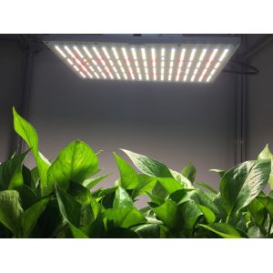 Horticulture 120W AC85V High PPFD LED Grow Light