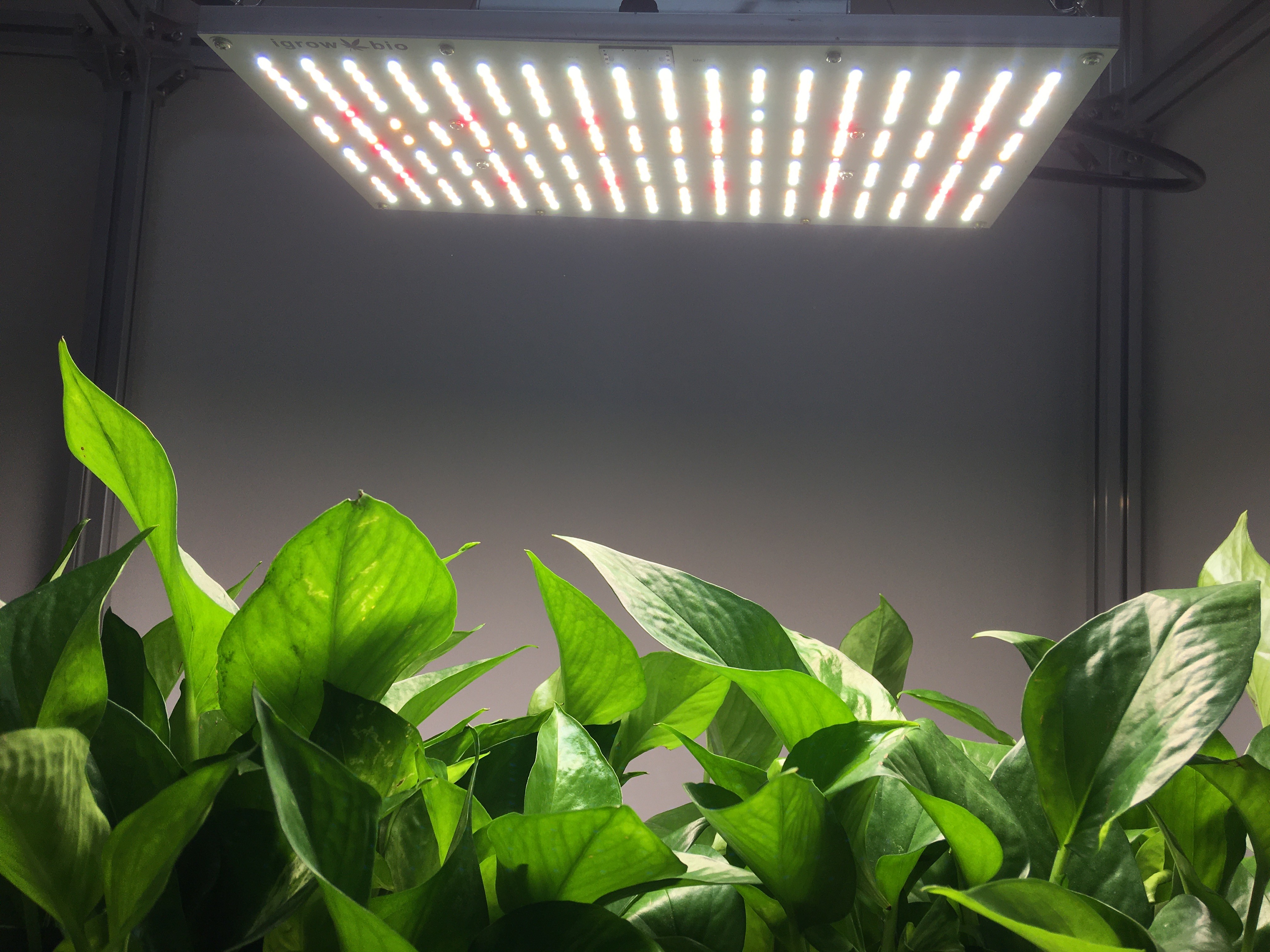 ETL 120W High PPFD Grow Light For Commercial Cultivation