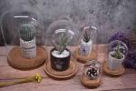 ODM Dampproof Mini Glass Bottle Corks Glass Base Dome 2.5*2.2IN Groove Line