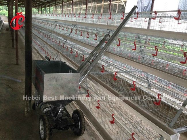 Automatic Feeding System Poultry Chicken Battery Layer Cage A Type Ada