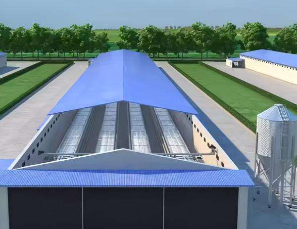 Buy cheap Automatic Poultry Broiler House Steel Structure Chicken Poultry Farm Equipment from wholesalers