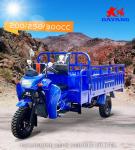 Motorized 800 W DAYANG 300 Petrol 3 Wheel Motorcycle and Tricycle for Heavy