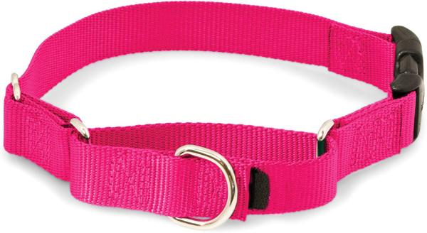 Buy cheap Martingale Soft Nylon Dog Collar With Quick Snap Buckle from wholesalers