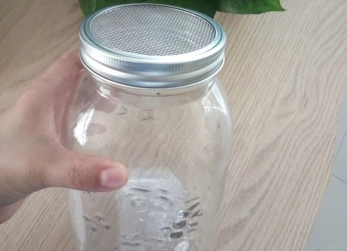 16oz 30oz Glass Wide Mouth Mason Jars Stainless Steel Sprouting Mesh Lid