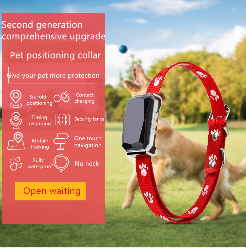 Beidou Positioning Intelligent 45X45mm PET Training Collars Gps Tracking Collar For Dogs