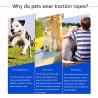 Buy cheap High Tough Retractable Dog Leash Water Resistant High Tensile Strength from wholesalers