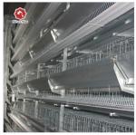 200-300 Chickens / Set Hot Dip Galvanized Chicken Cage For Farms Broiler Cage