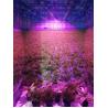 Buy cheap Indoor CXB 3590 Bridgelux Full Spectrum Led Cob Chip Grow Light from wholesalers