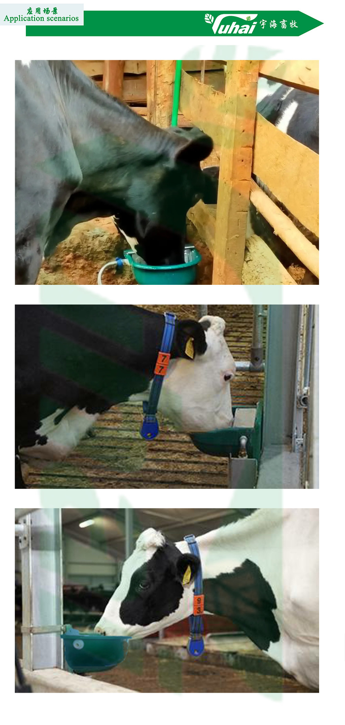 Plastic Livestock Water Bowl For Cows And Calves With A Capacity Of 0.9 Litres