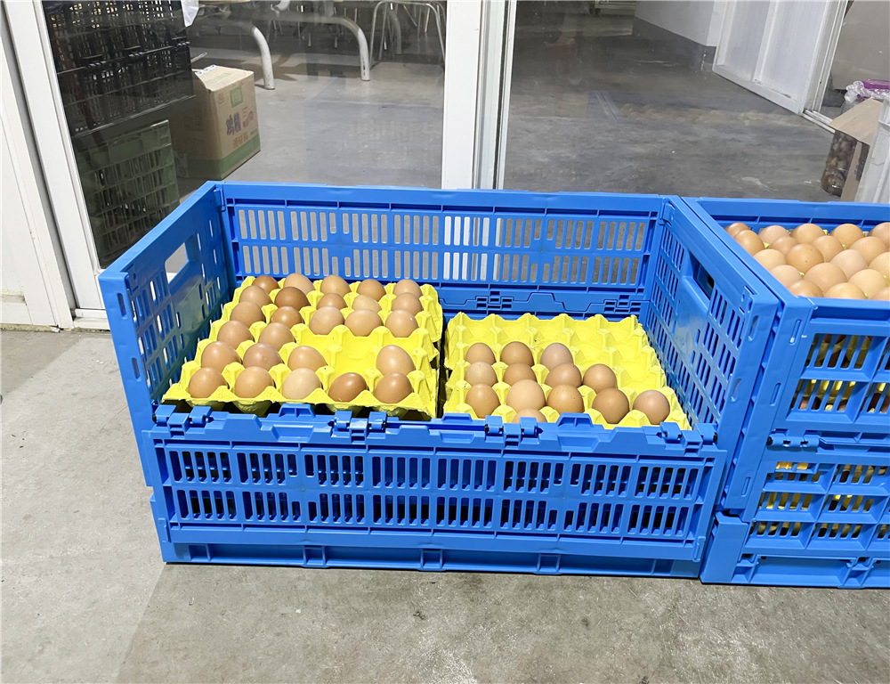 Customized Logo Blue Egg Storage Box Refrigerator for Modern Chicken Grid Drawer Type