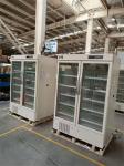 2 To 8 Degree 1006L Largest Capacity Upright Pharmacy Medical Hospital Grade