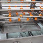 High Spray Washing Cleaning Machine For Plastic Turnover Basket Trays Egg Tray